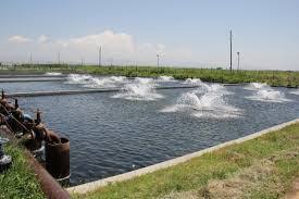 Շարժվող ջրի և քամու էներգիա – Սամվել Հարությունյան