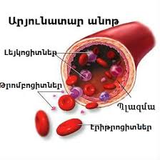 Արյուն: Արյան գործառույթները — դաս։ Կենսաբանություն, 8-րդ դասարան.